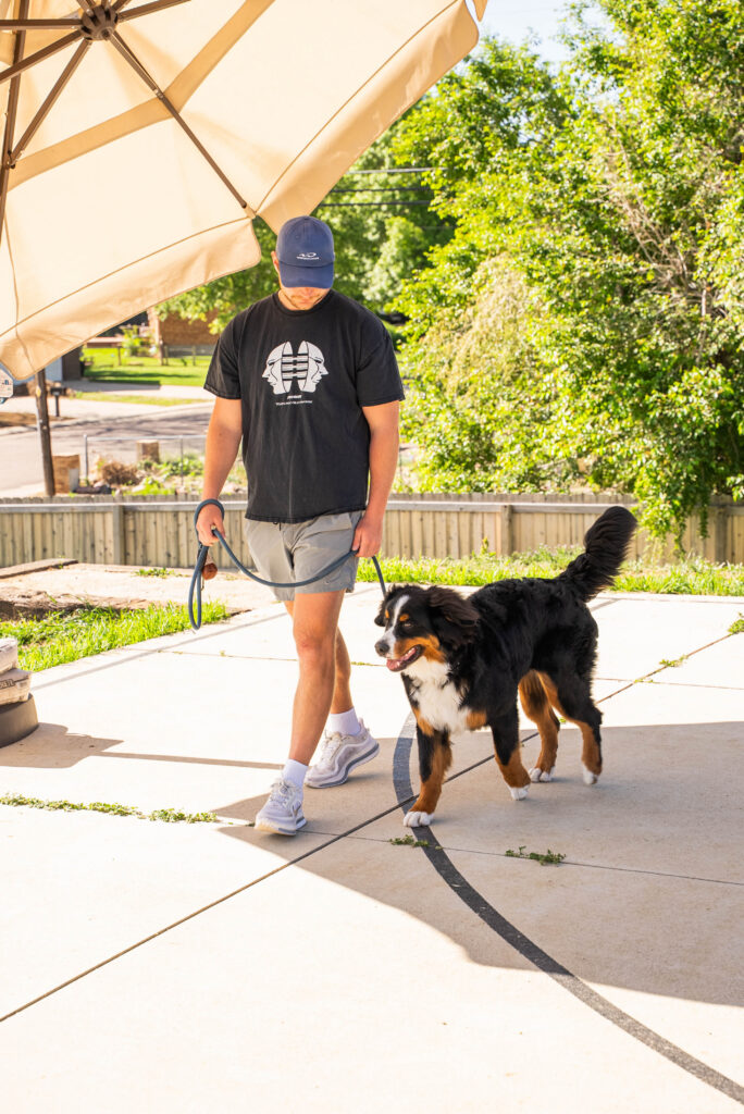 bernese mountain dog dog training group class outside leash walking