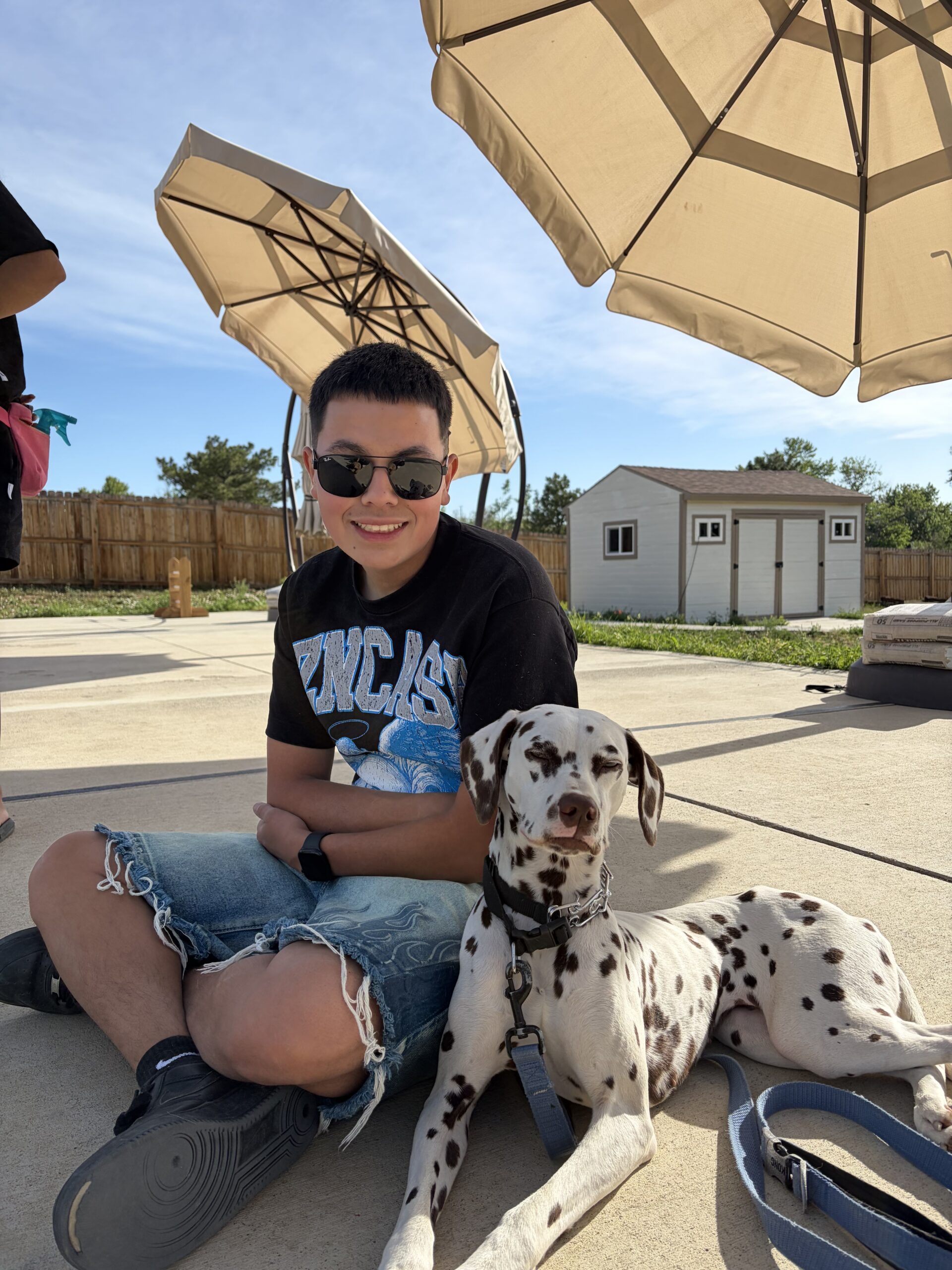 dog trainer