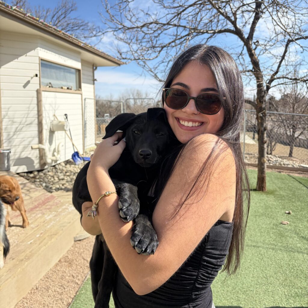 puppy board in training program