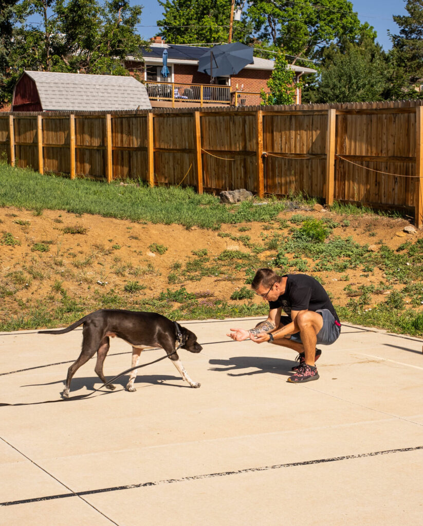 group class owner dog train recall