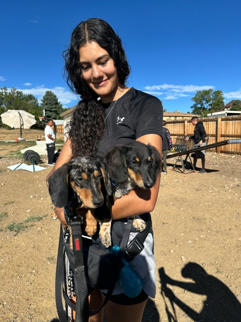 dachshunds dog trainer