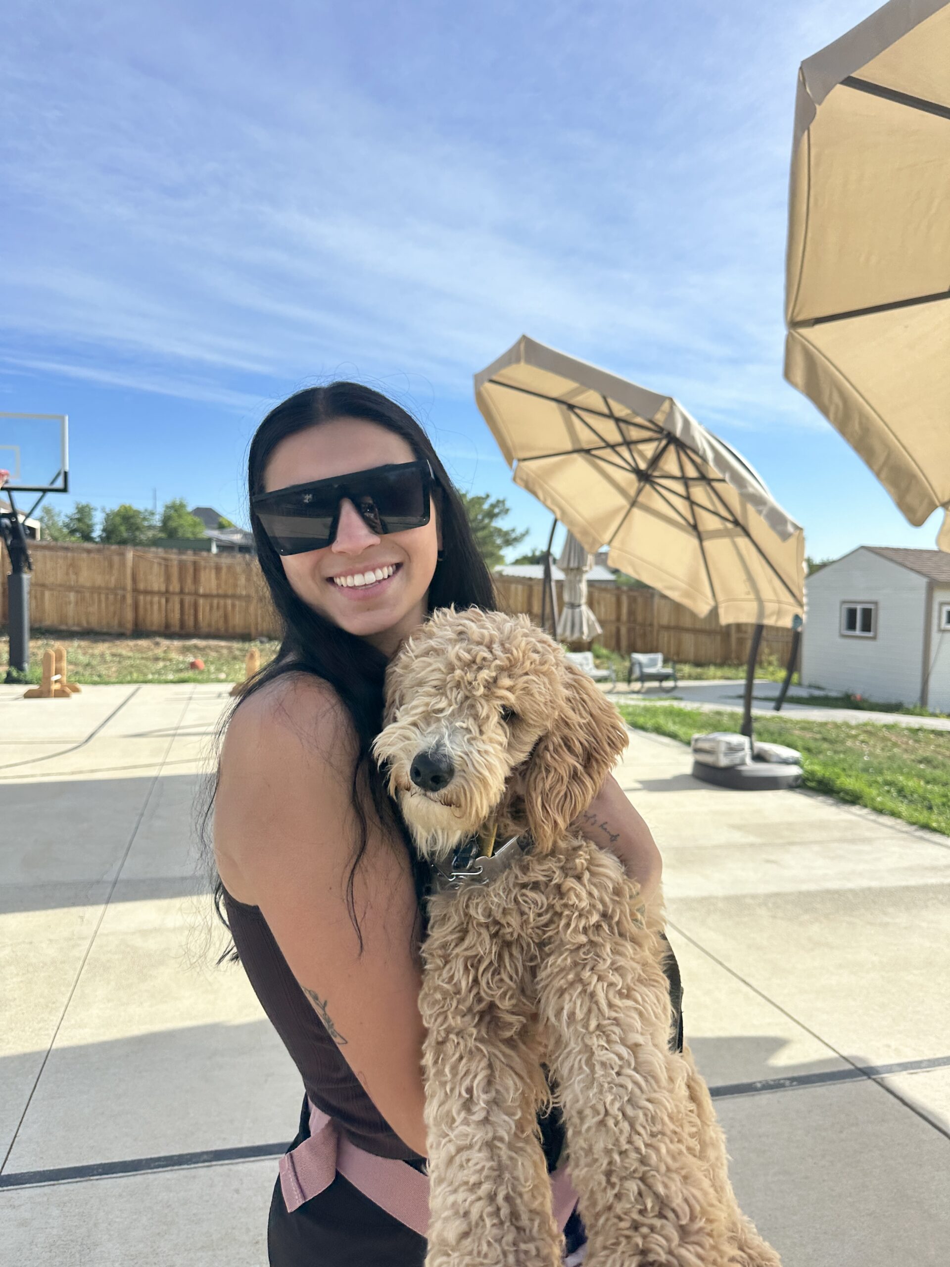 word of mouth dog training holding puppy