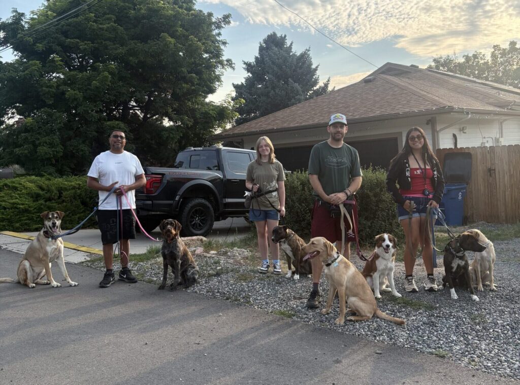 word of mouth dog training team members denver